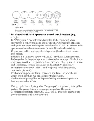 iii. Classification of Apertures Based on Character (Fig.
4.27):
In NPC-system ‘C’ denotes the character (C; L. character) of an
aperture in a pollen grain and spore. The character groups of pollen
and spore are seven and they are mentioned as C0 to C6. C0 groups have
apertures whose character cannot be established with certainty.
C1 groups of pollen and spore have leptoma (Greek leptoma means
thin place).
Leptoma is a thin area, aperture like and functions like an aperture.
Pollen grains having one leptoma are termed as monlept. The leptoma
may occur on either proximal-or distal face of a pollen grain and spore
and accordingly termed as catalept and analept. C2 groups are
trichotomocolpate (Gr. Tricha, in three parts; tome, cut; kolpos,
depression, furrow).
Trichotomocolpate is a three- branched aperture, the branches of
which are more than two times longer than breadth.
Trichotomocolpate pollen and spores having aperture on porximal
face are termed as trilete.
The group C3 has colpate grains. The group C4 comprises porate pollen
grains. The group C5 comprises colporate pollen. The group
C6 comprises pororate pollen. C3, C4, C5 and C6 groups of aperture are
previously discussed under aperture.
 