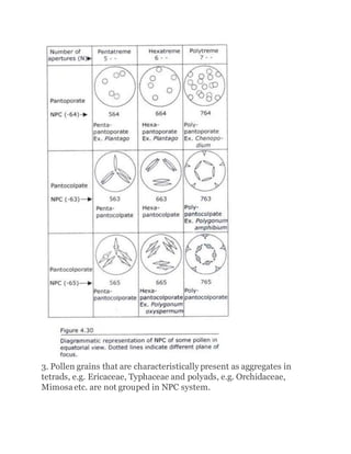 3. Pollen grains that are characteristically present as aggregates in
tetrads, e.g. Ericaceae, Typhaceae and polyads, e.g. Orchidaceae,
Mimosaetc. are not grouped in NPC system.
 