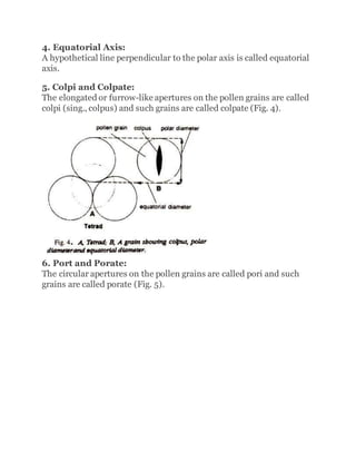 4. Equatorial Axis:
A hypothetical line perpendicular to the polar axis is called equatorial
axis.
5. Colpi and Colpate:
The elongated or furrow-like apertures on the pollen grains are called
colpi (sing., colpus) and such grains are called colpate (Fig. 4).
6. Port and Porate:
The circular apertures on the pollen grains are called pori and such
grains are called porate (Fig. 5).
 