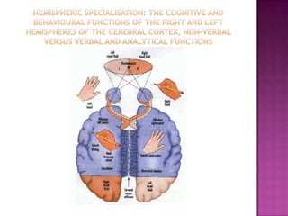 Unit 3 Mind, Brain & Body Revision Slide 19