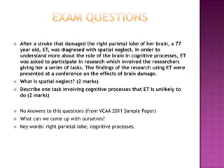 Unit 3 Mind, Brain & Body Revision Slide 28