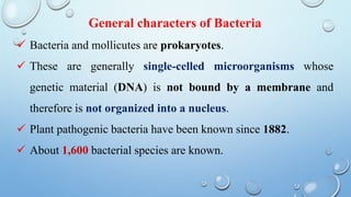 General characters of Bacteria
 Bacteria and mollicutes are prokaryotes.
 These are generally single-celled microorganisms whose
genetic material (DNA) is not bound by a membrane and
therefore is not organized into a nucleus.
 Plant pathogenic bacteria have been known since 1882.
 About 1,600 bacterial species are known.
 