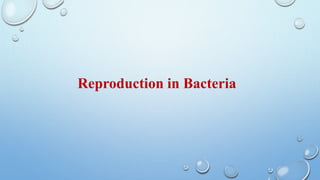 Reproduction in Bacteria
 