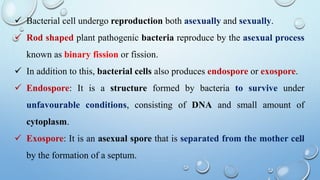  Bacterial cell undergo reproduction both asexually and sexually.
 Rod shaped plant pathogenic bacteria reproduce by the asexual process
known as binary fission or fission.
 In addition to this, bacterial cells also produces endospore or exospore.
 Endospore: It is a structure formed by bacteria to survive under
unfavourable conditions, consisting of DNA and small amount of
cytoplasm.
 Exospore: It is an asexual spore that is separated from the mother cell
by the formation of a septum.
 