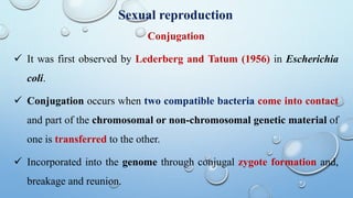 Conjugation
 It was first observed by Lederberg and Tatum (1956) in Escherichia
coli.
 Conjugation occurs when two compatible bacteria come into contact
and part of the chromosomal or non-chromosomal genetic material of
one is transferred to the other.
 Incorporated into the genome through conjugal zygote formation and,
breakage and reunion.
Sexual reproduction
 