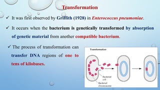 Transformation
 It was first observed by Griffith (1928) in Enterococcus pneumoniae.
 It occurs when the bacterium is genetically transformed by absorption
of genetic material from another compatible bacterium.
 The process of transformation can
transfer DNA regions of one to
tens of kilobases.
 