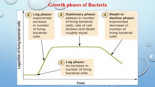 Growth phases of Bacteria
 