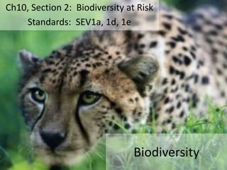Ch10, Section 2: Biodiversity at Risk
Standards: SEV1a, 1d, 1e

Biodiversity

 