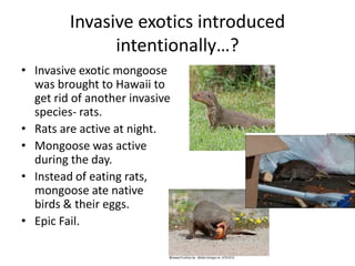 Unit 3 b ch 10 s2 biodiversity at risk | PPTX