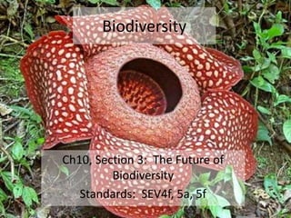 Biodiversity

Ch10, Section 3: The Future of
Biodiversity
Standards: SEV4f, 5a, 5f

 
