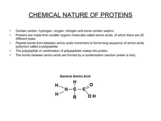 CHEMICAL NATURE OF PROTEINS ,[object Object],[object Object],[object Object],[object Object],[object Object]