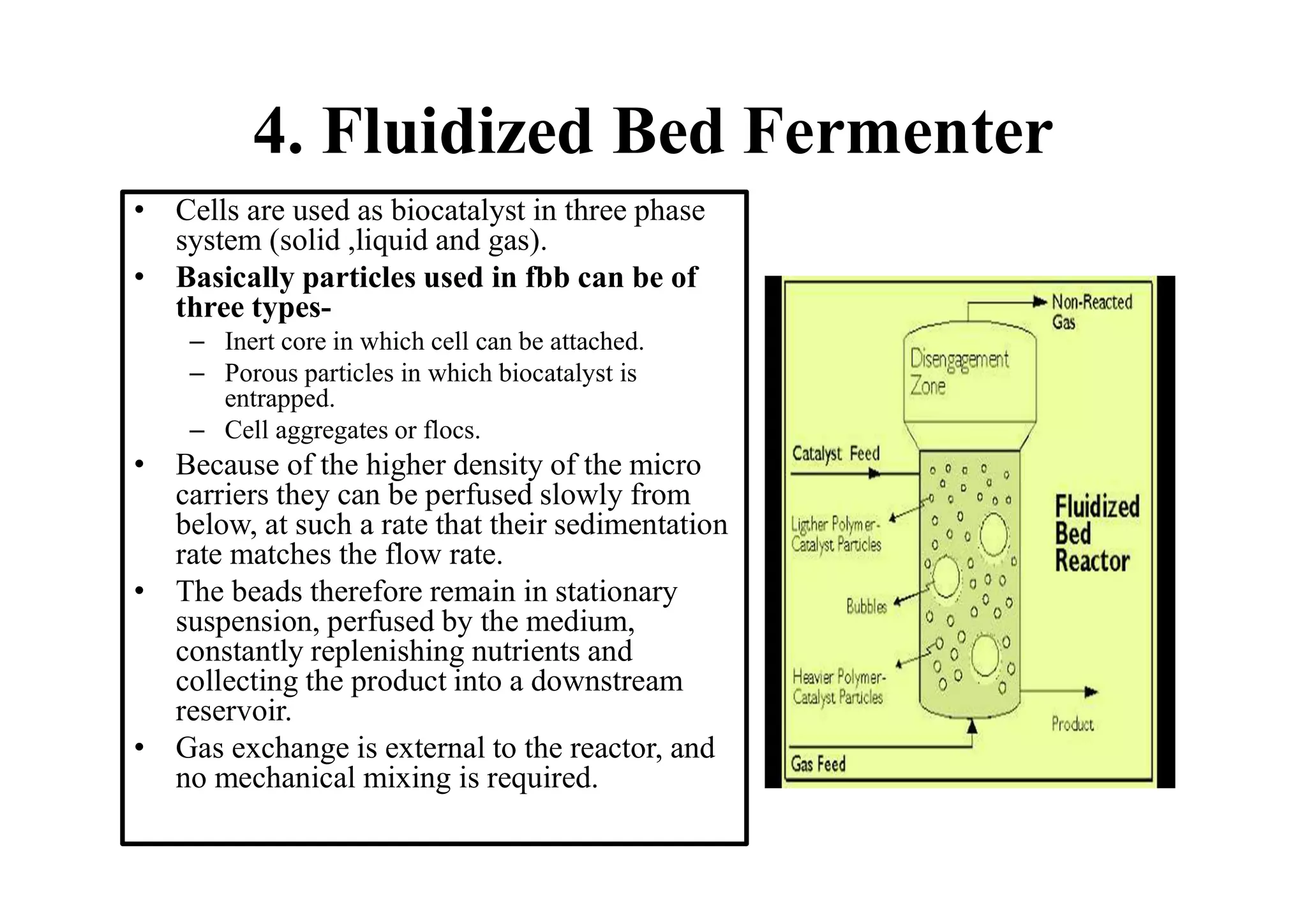 4. Fluidized Bed Fermenter
• Cells are used as biocatalyst in three phase
system (solid ,liquid and gas).
• Basically particles used in fbb can be of
three types-
– Inert core in which cell can be attached.
– Porous particles in which biocatalyst is
entrapped.
– Cell aggregates or flocs.
• Because of the higher density of the micro
carriers they can be perfused slowly from
below, at such a rate that their sedimentation
rate matches the flow rate.
• The beads therefore remain in stationary
suspension, perfused by the medium,
constantly replenishing nutrients and
collecting the product into a downstream
reservoir.
• Gas exchange is external to the reactor, and
no mechanical mixing is required.
 