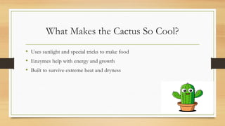 Cactus Tree: Structure, Functions and Adaptations | PPTX