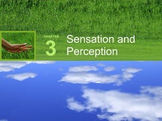 CHAPTER

3

Sensation and
Perception

 