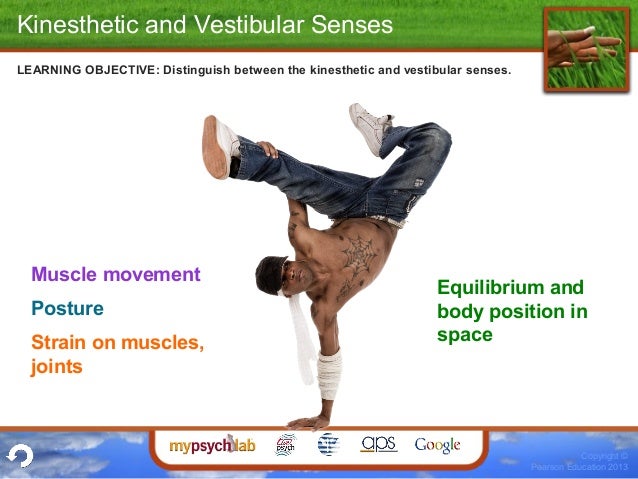 Importance of kinesthetic sense picture