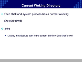 Current Woking Directory

 Each shell and system process has a current working

  directory (cwd)

 pwd

    Display the absolute path to the current directory (the shell's cwd)
 