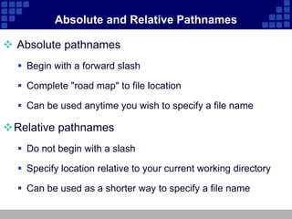 Absolute and Relative Pathnames

 Absolute pathnames
   Begin with a forward slash

   Complete "road map" to file location

   Can be used anytime you wish to specify a file name

Relative pathnames
   Do not begin with a slash

   Specify location relative to your current working directory

   Can be used as a shorter way to specify a file name
 