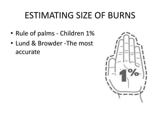 UNIT 3 BURNS-1 (3).pptx.pdf surgery medicine | PDF