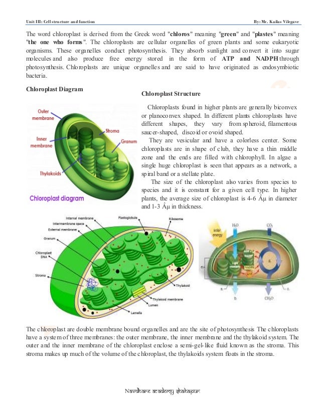 Unit 3 By Kailash Sir Cell Structure U0026 Function Kp