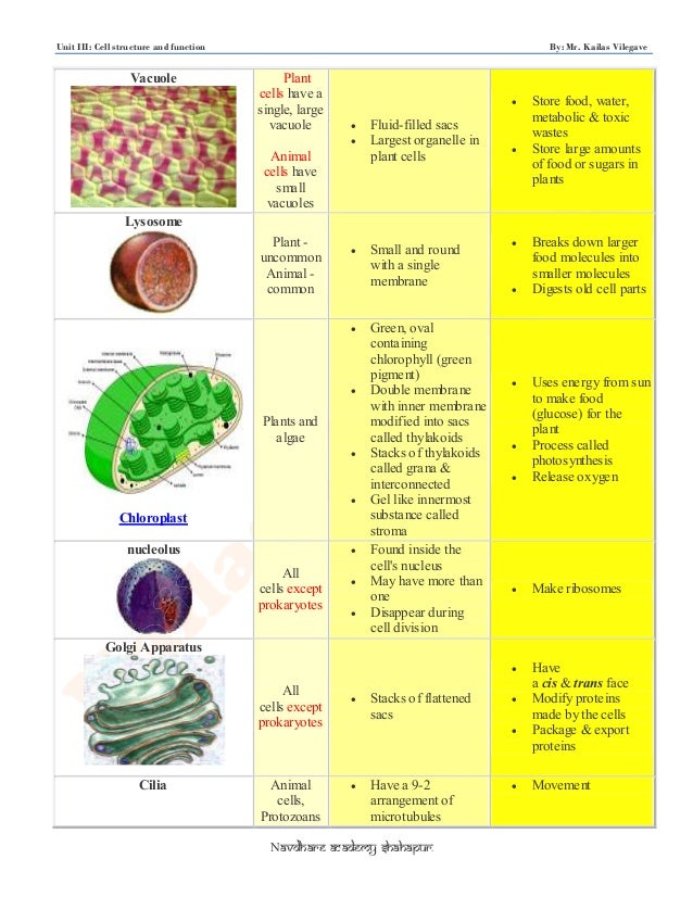 Unit 3 by kailash sir cell structure & function kp