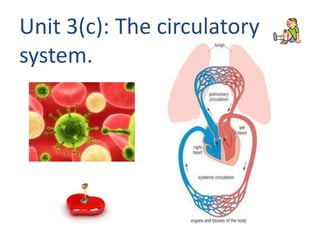 Unit 3(c): The circulatory
system.

 