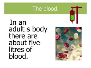 The blood.

In an
adult s body
there are
about five
litres of
blood.

 