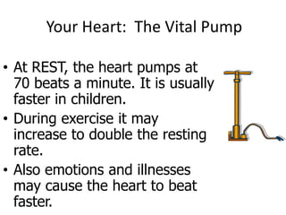 Your Heart: The Vital Pump
• At REST, the heart pumps at
70 beats a minute. It is usually
faster in children.
• During exercise it may
increase to double the resting
rate.
• Also emotions and illnesses
may cause the heart to beat
faster.

 