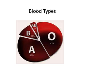 Blood Types

 