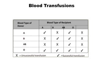 Blood Transfusions

Blood Type of
Donor

Blood Type of Recipient
A

B

AB

O

A

B
AB
O
Unsuccessful transfusion

Successful transfusion

 