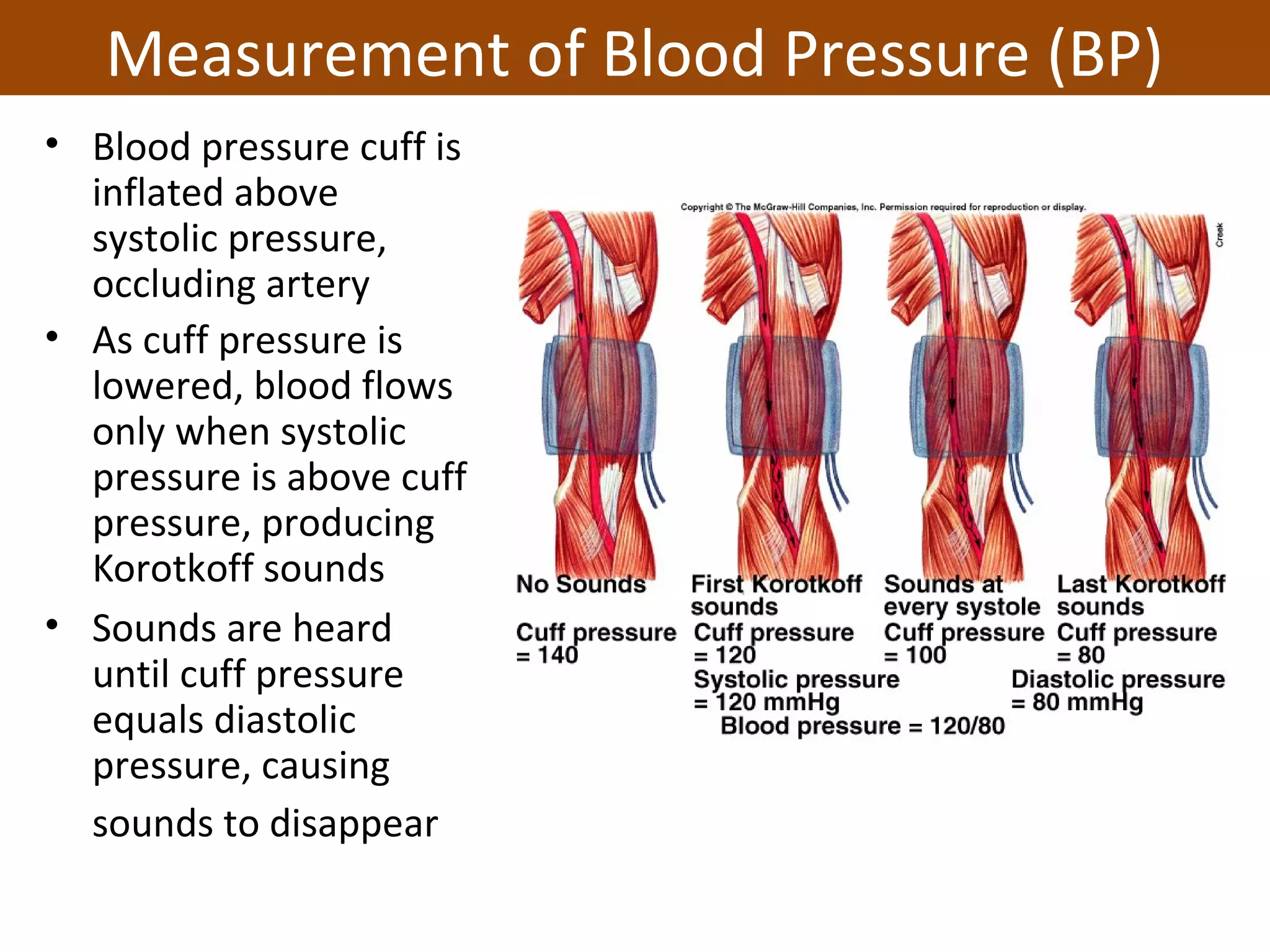 Unit 3 cardiovascular system nrs237 | PPT