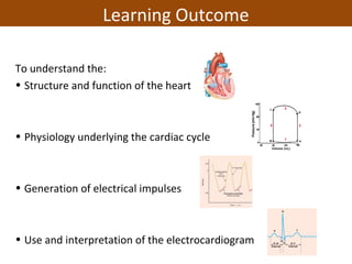 To understand the:
• Structure and function of the heart
• Physiology underlying the cardiac cycle
• Generation of electrical impulses
• Use and interpretation of the electrocardiogram
Learning Outcome
 