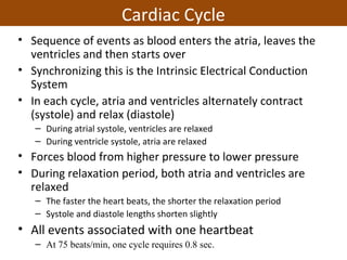 Cardiac Cycle
• Sequence of events as blood enters the atria, leaves the
ventricles and then starts over
• Synchronizing this is the Intrinsic Electrical Conduction
System
• In each cycle, atria and ventricles alternately contract
(systole) and relax (diastole)
– During atrial systole, ventricles are relaxed
– During ventricle systole, atria are relaxed
• Forces blood from higher pressure to lower pressure
• During relaxation period, both atria and ventricles are
relaxed
– The faster the heart beats, the shorter the relaxation period
– Systole and diastole lengths shorten slightly
• All events associated with one heartbeat
– At 75 beats/min, one cycle requires 0.8 sec.
 