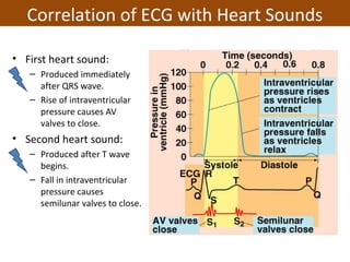 • First heart sound:
– Produced immediately
after QRS wave.
– Rise of intraventricular
pressure causes AV
valves to close.
• Second heart sound:
– Produced after T wave
begins.
– Fall in intraventricular
pressure causes
semilunar valves to close.
Correlation of ECG with Heart Sounds
 