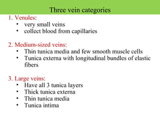 1. Venules:
• very small veins
• collect blood from capillaries
2. Medium-sized veins:
• Thin tunica media and few smooth muscle cells
• Tunica externa with longitudinal bundles of elastic
fibers
3. Large veins:
• Have all 3 tunica layers
• Thick tunica externa
• Thin tunica media
• Tunica intima
Three vein categories
 