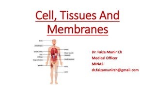 Cell, Tissues And
Membranes
Dr. Faiza Munir Ch
Medical Officer
MINAS
dr.faizamunirch@gmail.com
 