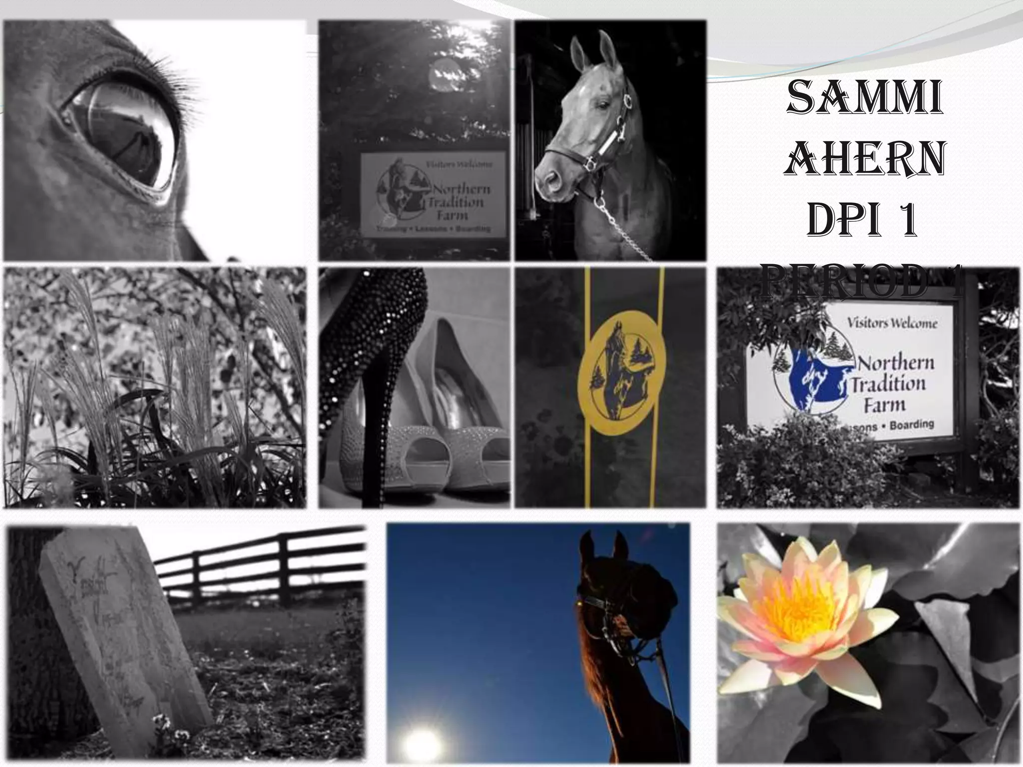Sammi
Ahern
DPI 1
Period 1