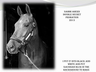 Sammi Ahern
Double Secret
Probation
2013
I put it into black and
white and put
Gaussian blur in the
background to make