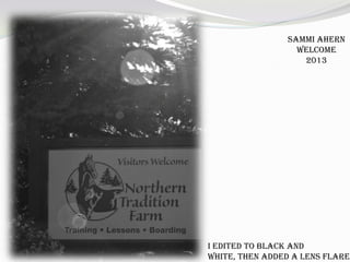 Sammi Ahern
Welcome
2013
I edited to black and
white, then added a lens flare.