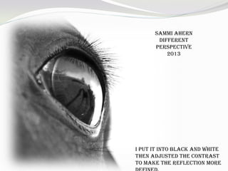 Sammi Ahern
Different
Perspective
2013
I put it into black and white
then adjusted the contrast
to make the reflection more