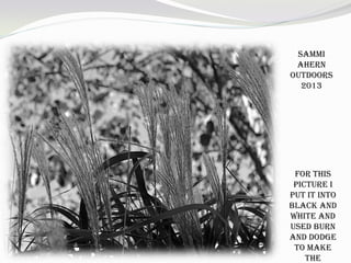 Sammi
Ahern
Outdoors
2013
For this
picture I
put it into
black and
white and
used burn
and dodge
to make
the