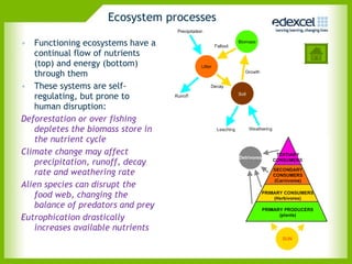 Ecosystem processes Functioning ecosystems have a continual flow of nutrients (top) and energy (bottom) through them These systems are self-regulating, but prone to human disruption: Deforestation or over fishing depletes the biomass store in the nutrient cycle  Climate change may affect precipitation, runoff, decay rate and weathering rate Alien species can disrupt the food web, changing the balance of predators and prey Eutrophication drastically increases available nutrients  