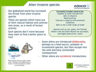 Alien invasive species Our globalised world has increased the threat from alien invasive species These are species which move out of their natural habitat and colonise new areas, as a result of human activity  Such species don’t move because they want to find a better place to live! Some aliens are introduced  deliberately , perhaps as a food source, predator or ornamental species, but then escape into the wild and have unintended consequences  Other aliens are  accidental  introductions  Successful invaders tend to be: Capable of rapid reproduction Able to disperse Rapid growing  Tolerate a range of environmental conditions Able to eat a wide range of foods Species such as rats, goats, the Chinese Mitten crab and Zebra Mussel are successful, and highly destructive, aliens 