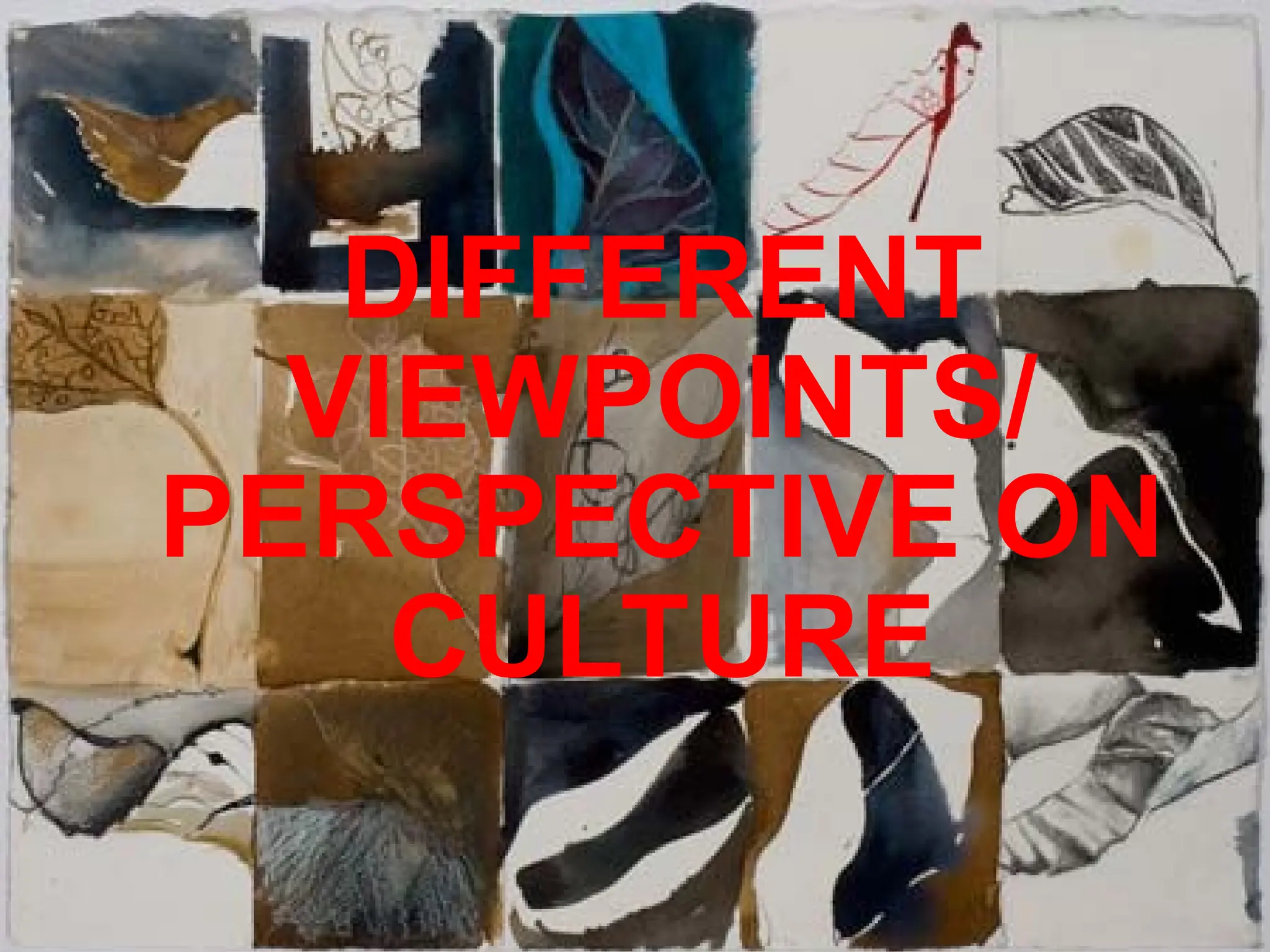 DIFFERENT
VIEWPOINTS/
PERSPECTIVE ON
CULTURE
 