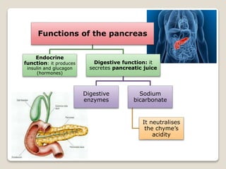 Functions of the pancreas
Endocrine
function: it produces
insulin and glucagon
(hormones)
Digestive function: it
secretes pancreatic juice
Digestive
enzymes
Sodium
bicarbonate
It neutralises
the chyme’s
acidity
 