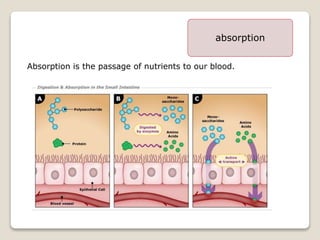 absorption
Absorption is the passage of nutrients to our blood.
 