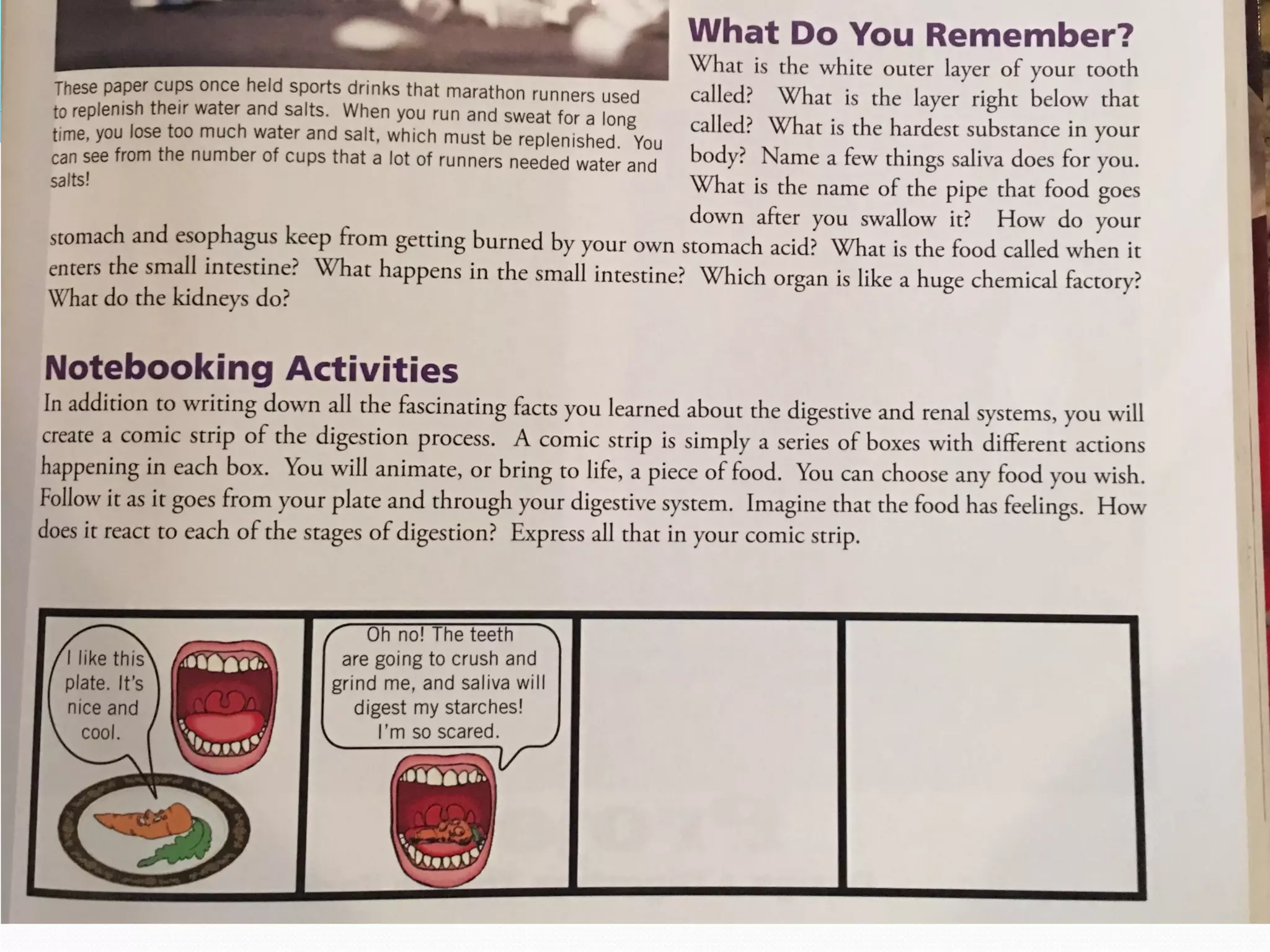 Unit3 digestive system