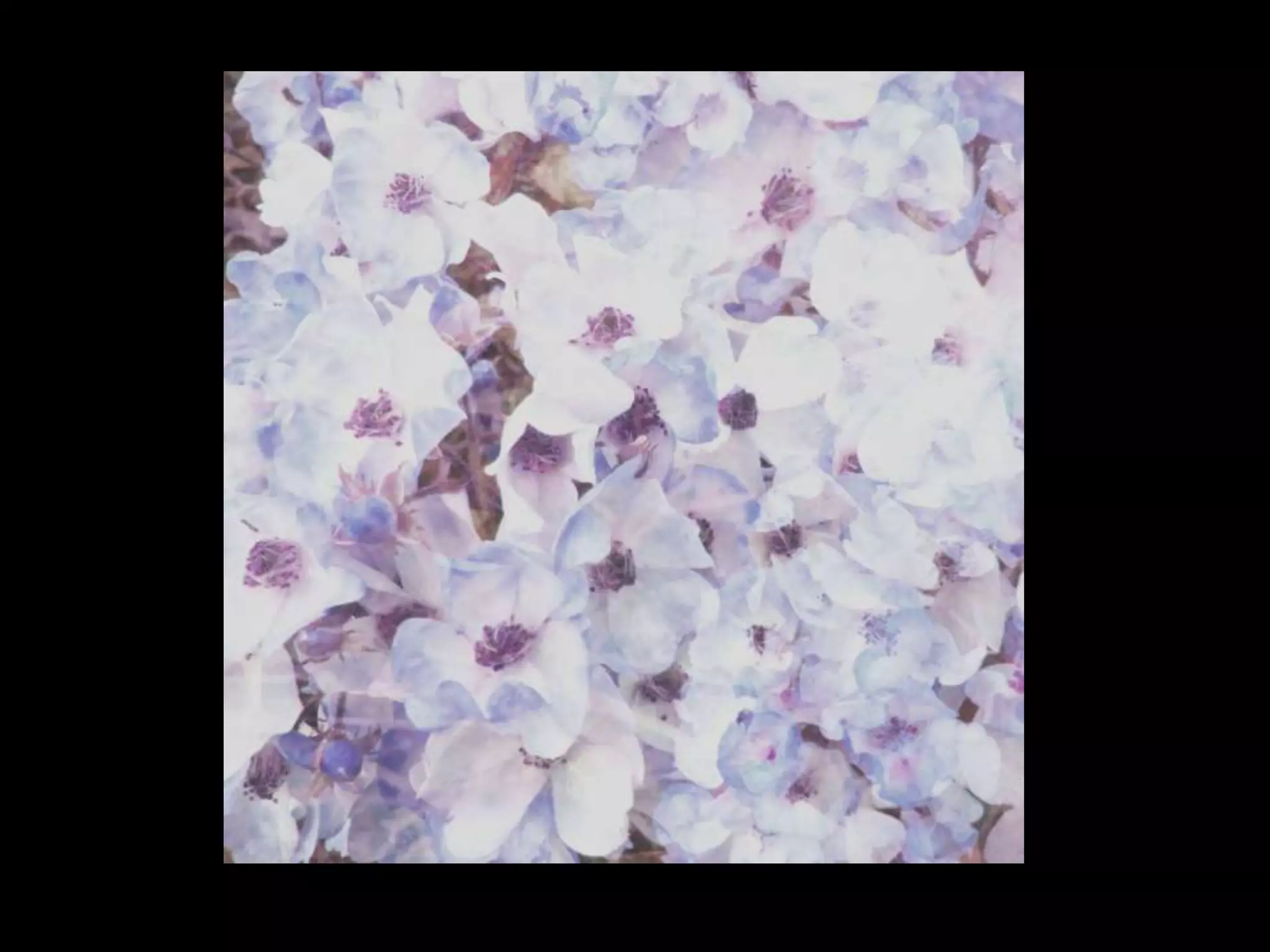 Unit 3 Electronic Portfolio