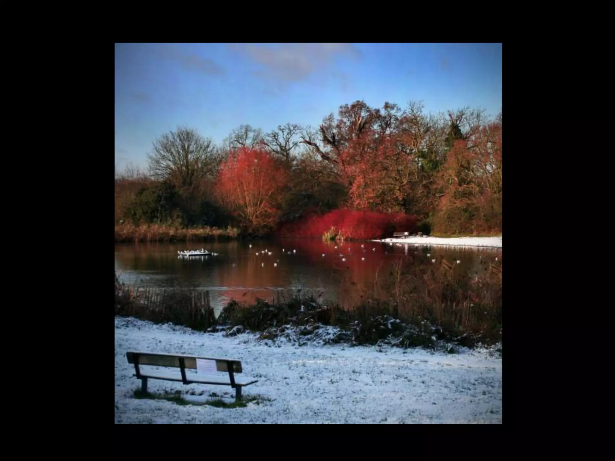 Unit 3 Electronic Portfolio