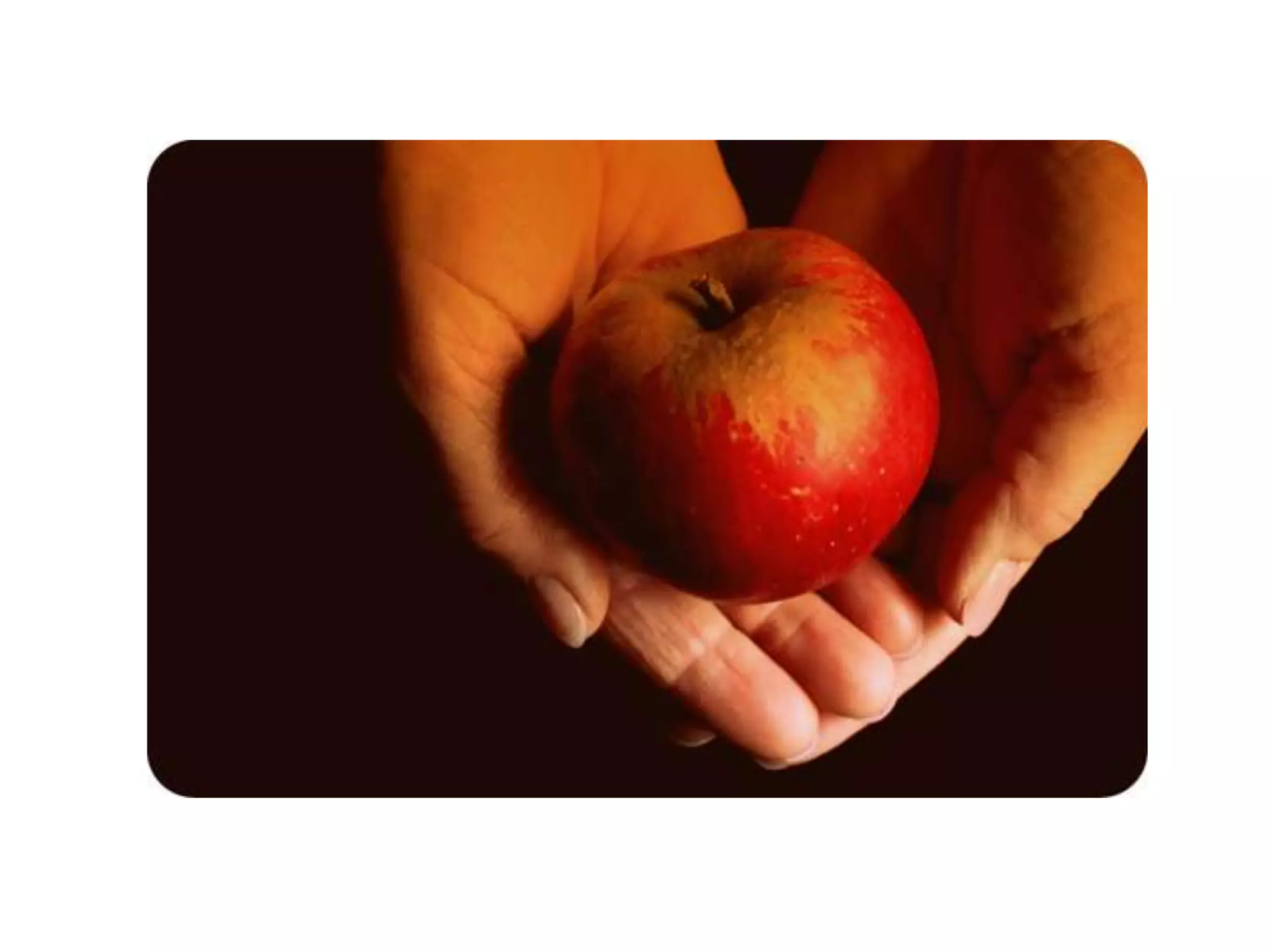 Unit 3 Electronic Portfolio