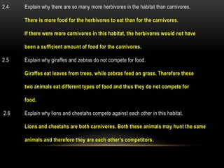 2.4   Explain why there are so many more herbivores in the habitat than carnivores.

      There is more food for the herbivores to eat than for the carnivores.

      If there were more carnivores in this habitat, the herbivores would not have

      been a sufficient amount of food for the carnivores.

2.5   Explain why giraffes and zebras do not compete for food.

      Giraffes eat leaves from trees, while zebras feed on grass. Therefore these

      two animals eat different types of food and thus they do not compete for

      food.

2.6   Explain why lions and cheetahs compete against each other in this habitat.

      Lions and cheetahs are both carnivores. Both these animals may hunt the same

      animals and therefore they are each other’s competitors.
 